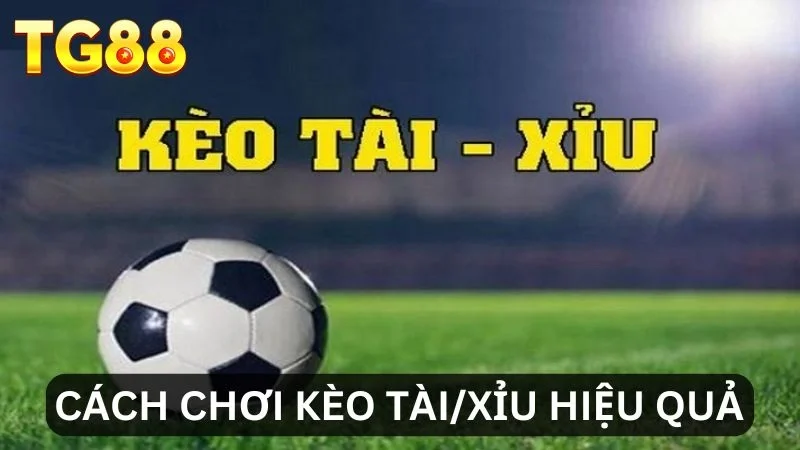 Mẹo chơi kèo Tài/Xỉu hiệu quả