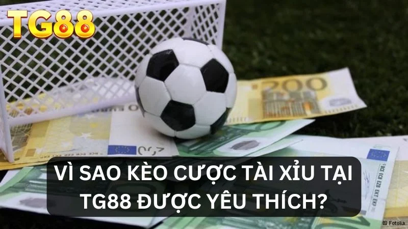 Lý do kèo Tài/Xỉu được yêu thích tại TG88