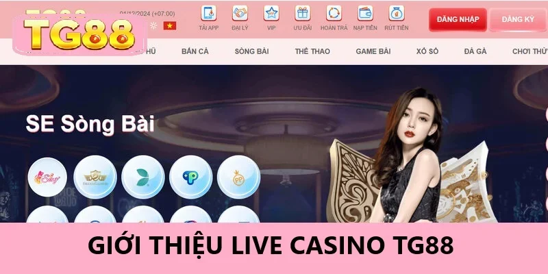 Tìm hiểu Live Casino TG88