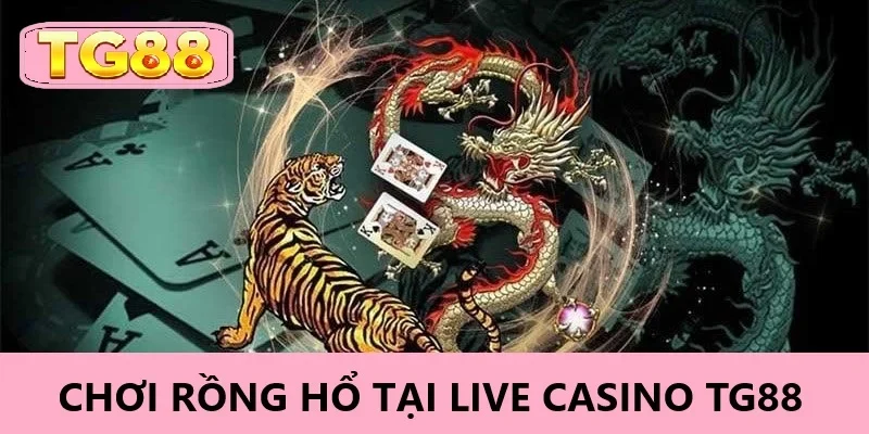 Chơi rồng hổ tại Live Casino TG88