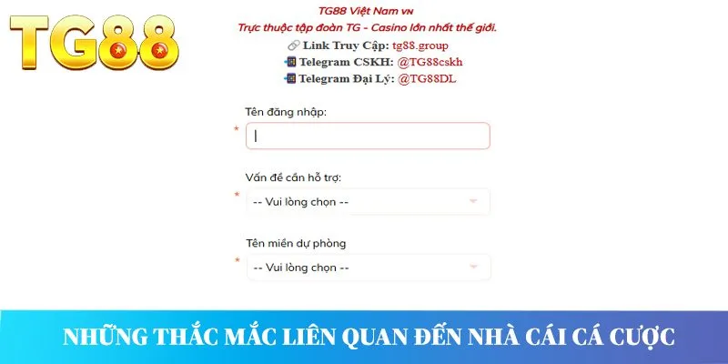 Những thắc mắc liên quan đến nhà cái cá cược