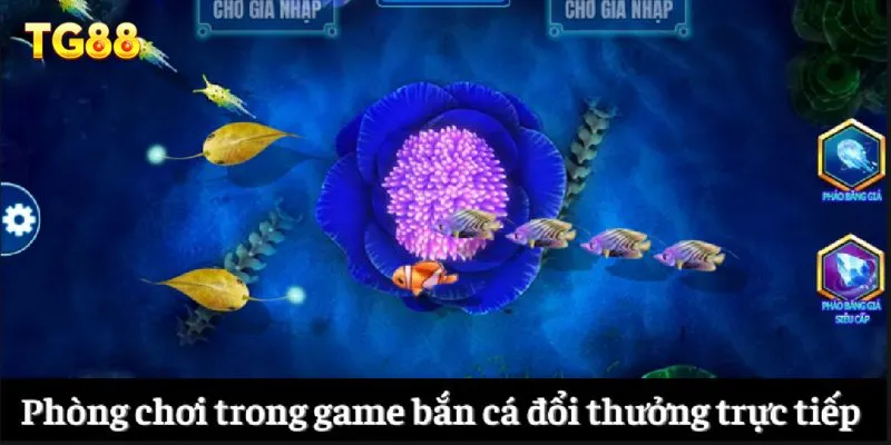 Phòng chơi trong game bắn cá đổi thưởng trực tiếp