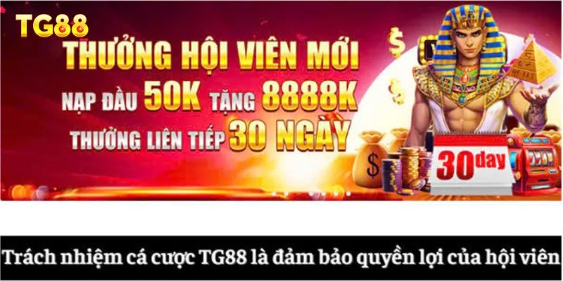 Trách nhiệm cá cược TG88 là đảm bảo quyền lợi của hội viên