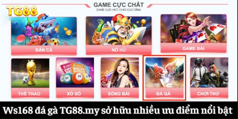 Ws168 đá gà TG88.my sở hữu nhiều ưu điểm nổi bật