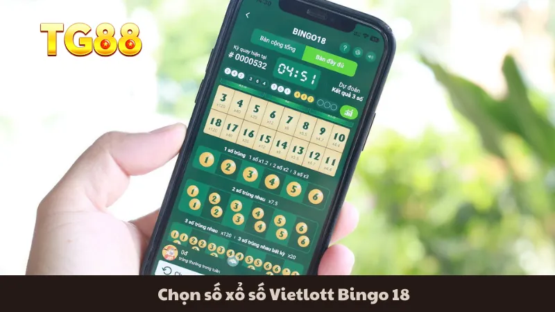 Chọn số xổ số Vietlott Bingo 18