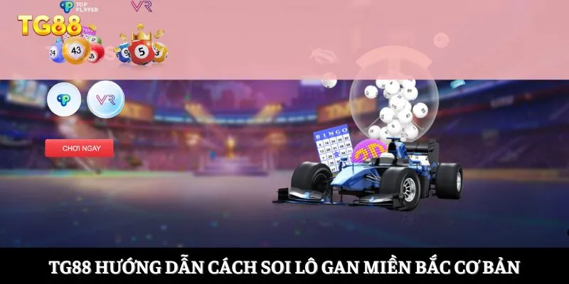 TG88 hướng dẫn cách soi lo gan mien Bac cơ bản