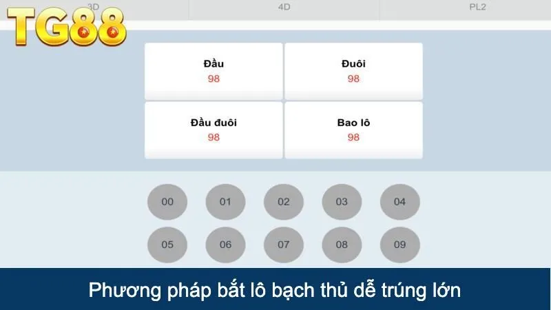 Phương pháp bắt lô bạch thủ dễ trúng lớn