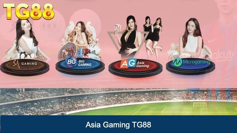 Asia Gaming TG88 - Sân Chơi Đẳng Cấp Số 1 Cho Game Thủ